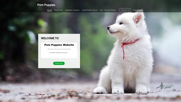 Pomspuppies.com - Pomeranian Puppy Scam Review