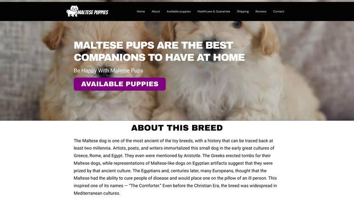 Pottytrainedmaltesebreeders.com - Maltese Puppy Scam Review