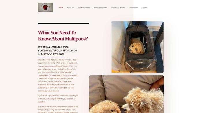 Preciousmaltipoopuppies.com - Maltipoo Puppy Scam Review