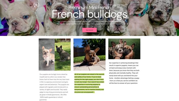 Premiumminifrenchbulldogs.com - French Bulldog Puppy Scam Review