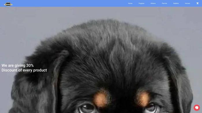 Premiumpetshome.com - Golden Retriever Puppy Scam Review