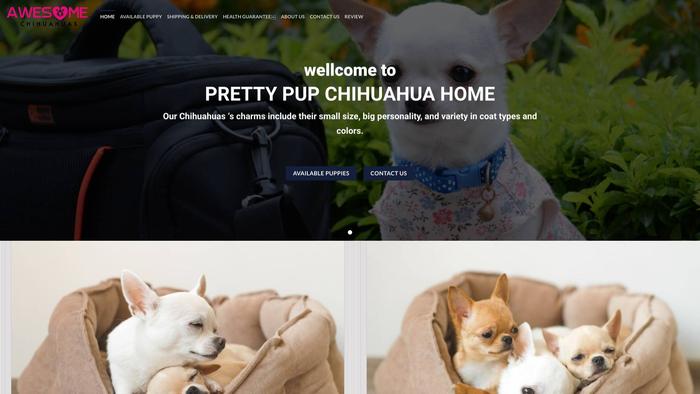 Prettypupchihuahuahome.com - Chihuahua Puppy Scam Review