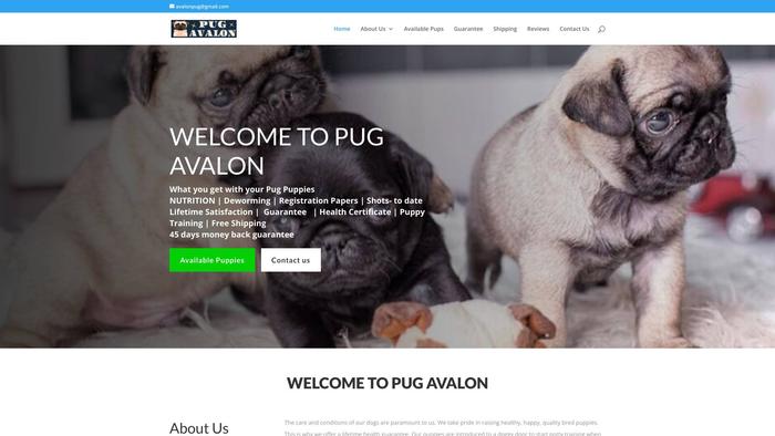 Pug-avalon.com - Pug Puppy Scam Review