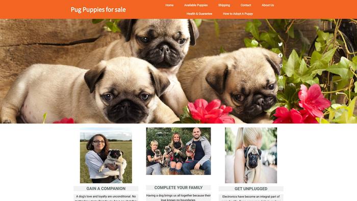 Pugpups4sale.com - Pug Puppy Scam Review