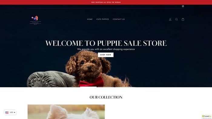 Puppiesale.com - Maltipoo Puppy Scam Review