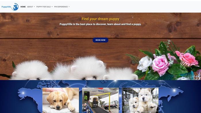 Puppyville.dog - Maltipoo Puppy Scam Review