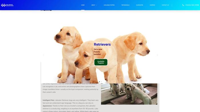 Purelabradorretrieverpuppies.com - Golden Retriever Puppy Scam Review