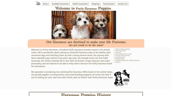 Purityhavanesepuppies.com - Havanese Puppy Scam Review