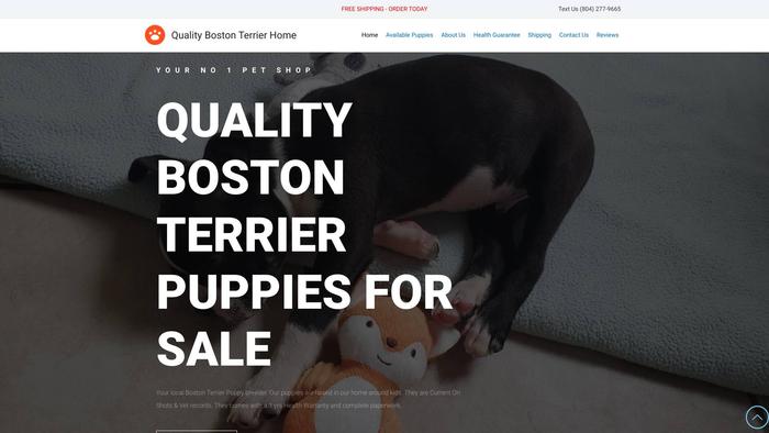 Qualitybostonterrierhomes.com - Terrier Puppy Scam Review