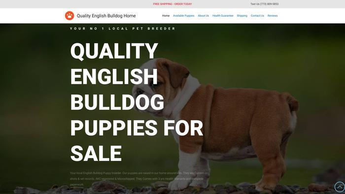 Qualityenglishbulldogpuppies.com - English Bulldog Puppy Scam Review