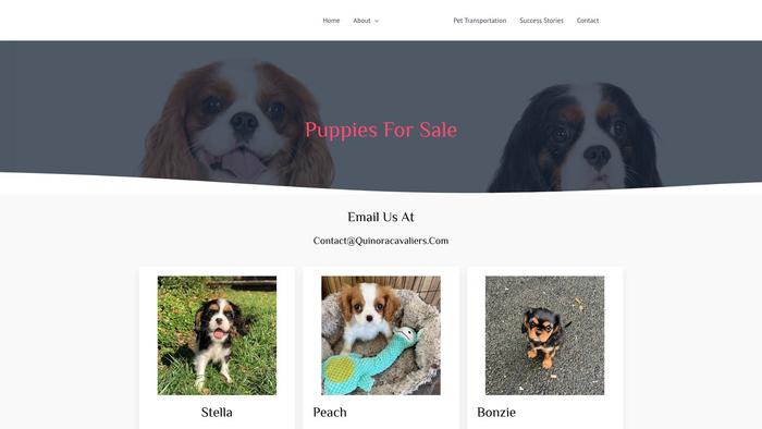 Quinoracavaliers.com - Cavalier King Charles Spaniel Puppy Scam Review