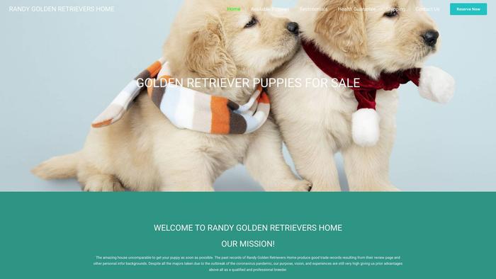 Randysgoldenretrievershome.com - Golden Retriever Puppy Scam Review