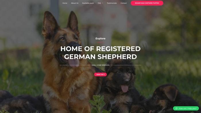 Reggermanshepherdpuppiesforsale.com - Germanshepherd Puppy Scam Review