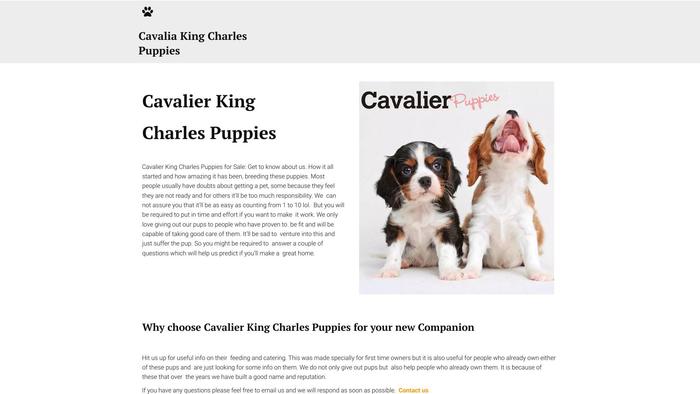 Rehomekingcharlespuppies.com - Cavalier King Charles Spaniel Puppy Scam Review