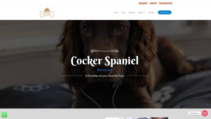 Rehomingcockerspaniel.com - Cockerspaniel Puppy Scam Review