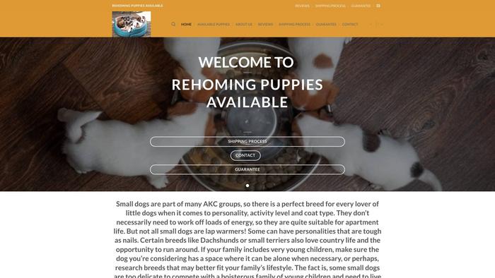 Rehomingpuppiesavailable.com - Cavapoo Puppy Scam Review