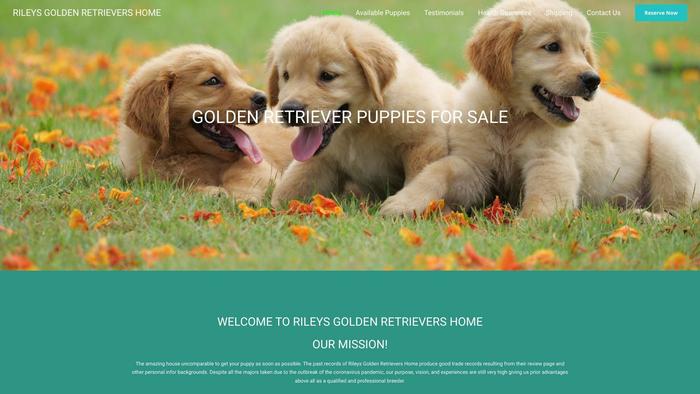 Rileysgoldenretrievershome.com - Golden Retriever Puppy Scam Review