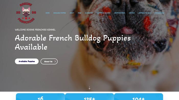 Rosinefrenchies.com - French Bulldog Puppy Scam Review