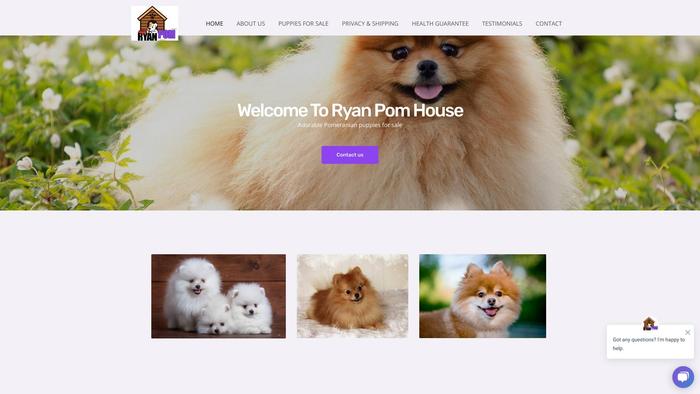 Ryanpomhouse.com - Pomeranian Puppy Scam Review