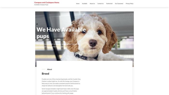 Safamilycavapoo.com - Cavapoo Puppy Scam Review