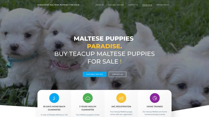 Sammylocalmaltese.us - Maltese Puppy Scam Review