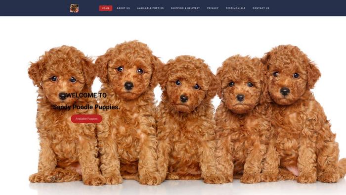 Sandypoodlehome.com - Poodle Puppy Scam Review