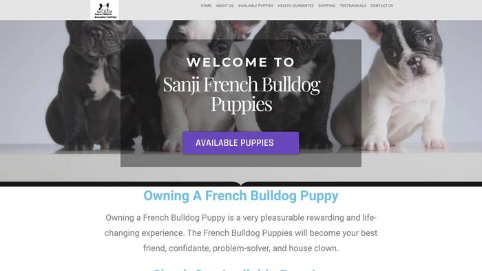 Sanjifrenchbulldogpuppies.com - French Bulldog Puppy Scam Review