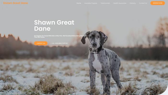 Shawngreatdane.com - Great Dane Puppy Scam Review