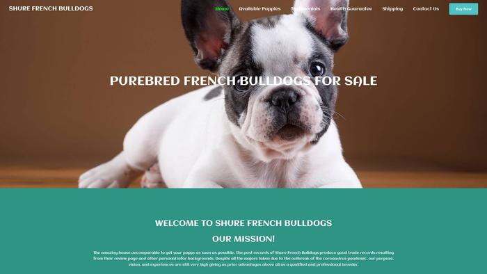 Shurefrenchbulldogs.com - French Bulldog Puppy Scam Review