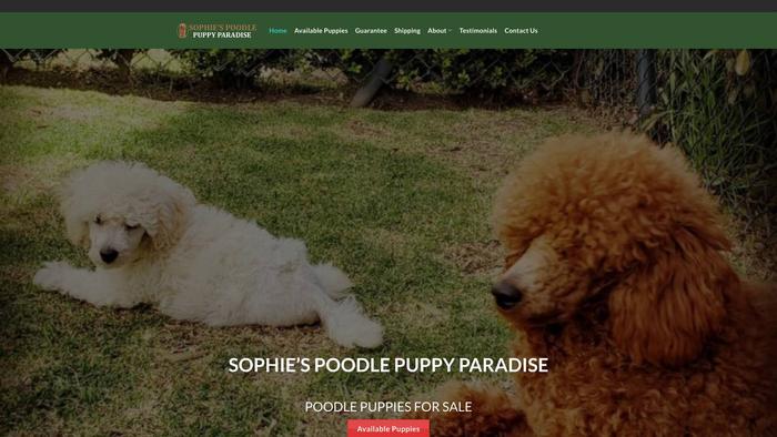 Sophiespoodlepuppyparadise.com - Poodle Puppy Scam Review