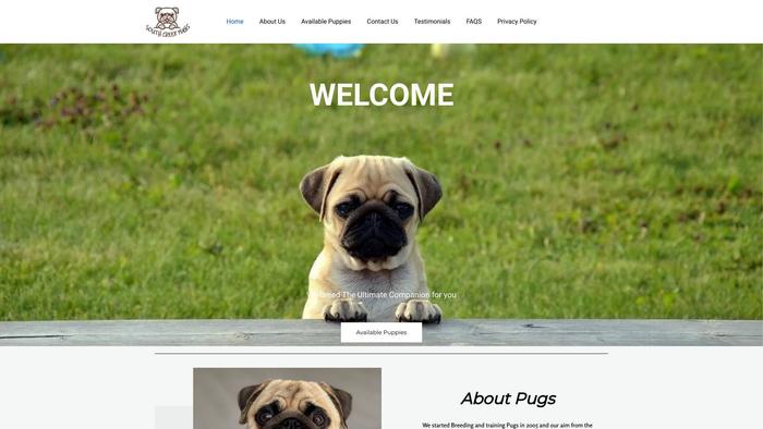 Southcreekpugpuppies.com - Pug Puppy Scam Review