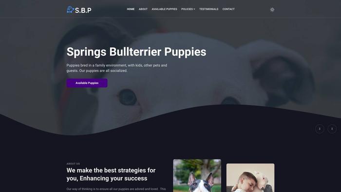 Springsbullterrierpuppies.com - Terrier Puppy Scam Review