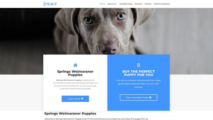 Springsweimaranerpuppies.com - Weimaraner Puppy Scam Review