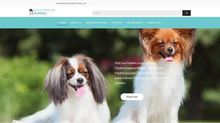 Stacyspappillonpups.com - Cavalier King Charles Spaniel Puppy Scam Review