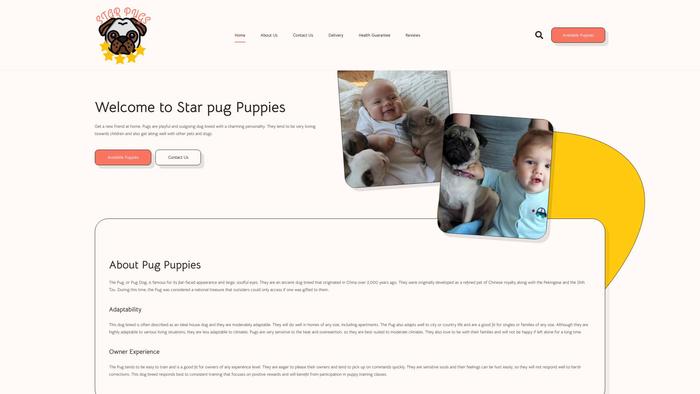 Starpugpuppies.com - Pug Puppy Scam Review