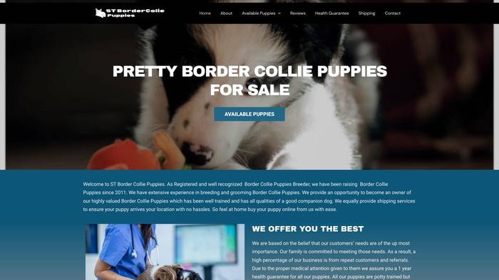 Stbordercoliepuppies.com - Bordercollie Puppy Scam Review