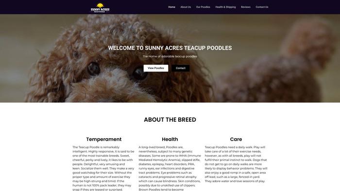 Sunnyacresteacuppoodles.com - Poodle Puppy Scam Review