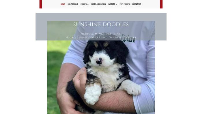 Sunshinedoodleohio.com - Labradoodle Puppy Scam Review