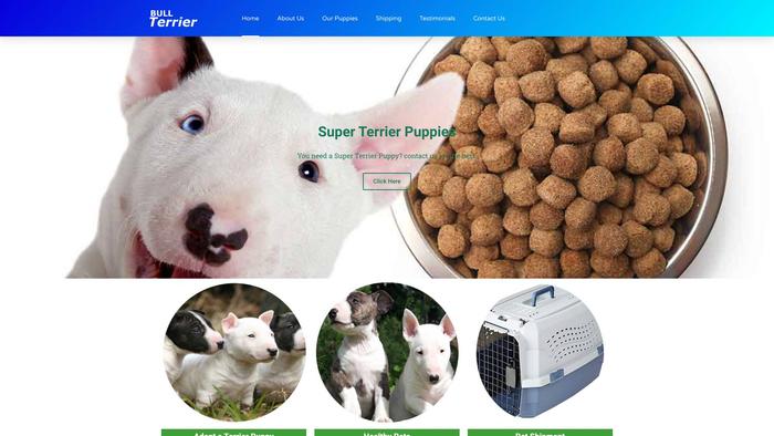 Superterrier4you.com - Terrier Puppy Scam Review