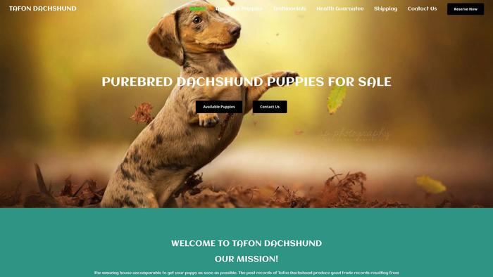 Tafondachshund.com - Dachshund Puppy Scam Review