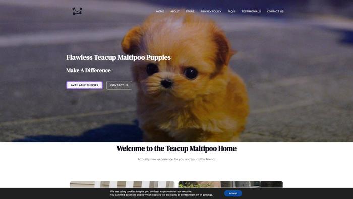 Teacupmaltipoos.com - Maltipoo Puppy Scam Review