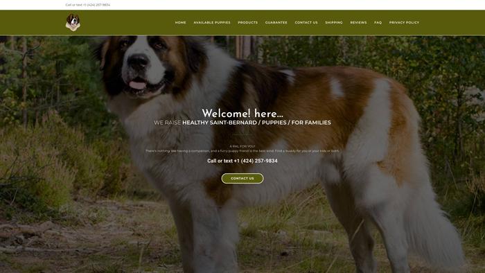 Teresasaintbernardshome.com - Saint Bernard Puppy Scam Review