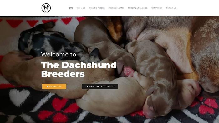 Thedachshundbreeders.com - Dachshund Puppy Scam Review