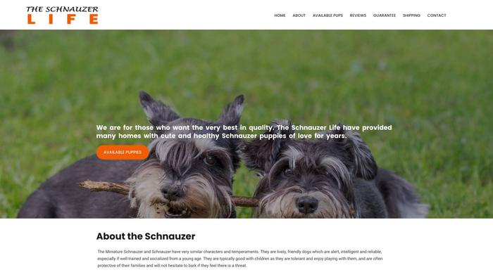 Theschnauzerlife.com - Schnauzer Puppy Scam Review