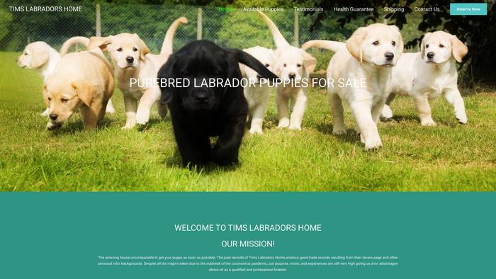 Timslabradorshome.com - Labrador Puppy Scam Review