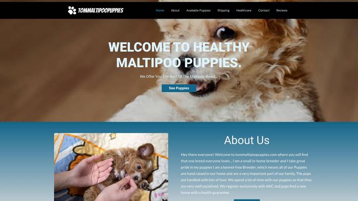 Tommaltipoopuppies.com - Maltipoo Puppy Scam Review