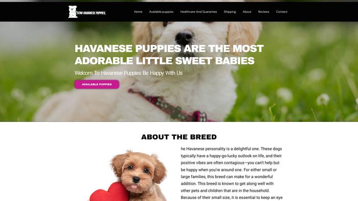 Tonihavanesepuppies.com - Havanese Puppy Scam Review