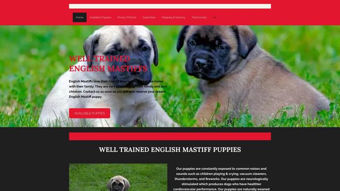 Trainedenglishmastiffs.net - Tibetan Mastiff Puppy Scam Review