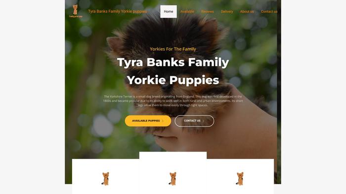 Tyrayorkiepuppies.site - Yorkshire Terrier Puppy Scam Review