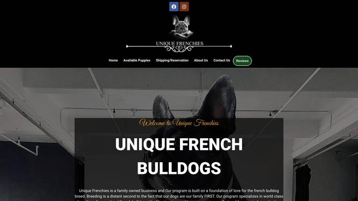 Uniquefrenchies.store - French Bulldog Puppy Scam Review